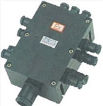 BJX8030/BXJ8050系列防爆防腐接线箱